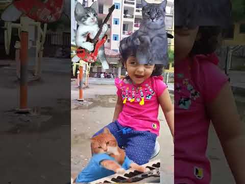 jhal le ke amar #shorts #trending #viral