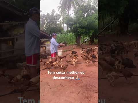 Gigante ! Botumirim Minas Gerais