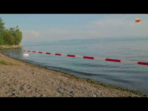 Erbrechen und Durchfall nach Baden im Bodensee: Amt ordnet Badeverbot an