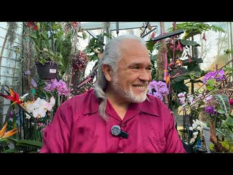 FRANK26….2-16-26….CF… CAN’T FUNCTION