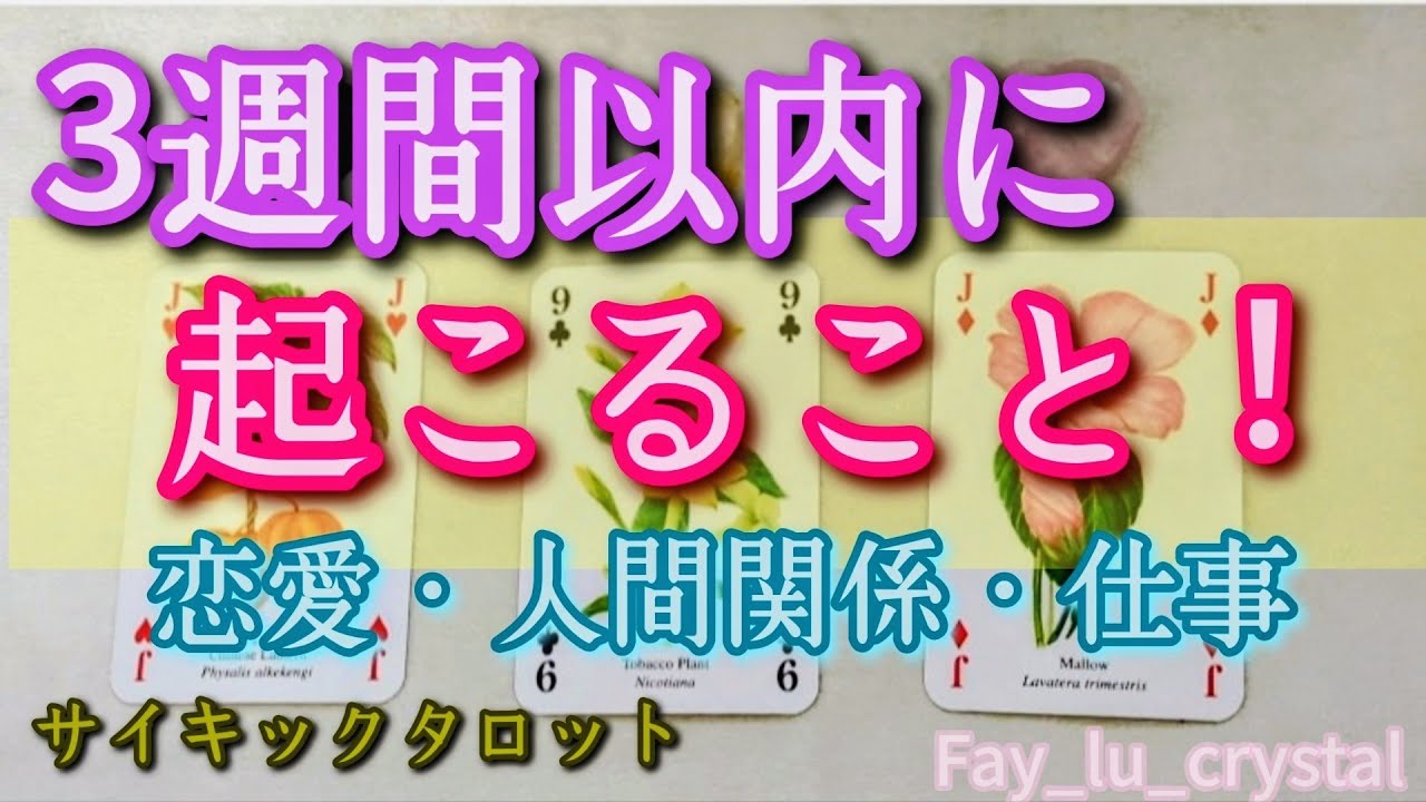 3週間以内に起こること🪷✨恋愛・人間関係・仕事🍀忖度無し深掘りサイキックリーディング🪬