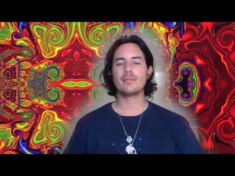 Day 356 Alineación en Español VEGETAL - Matias De Stefano - Spanish only