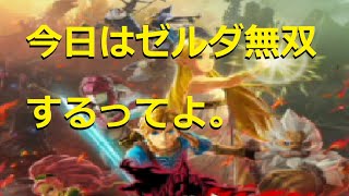 今日は2人で【ゼルダ無双】です　～28～