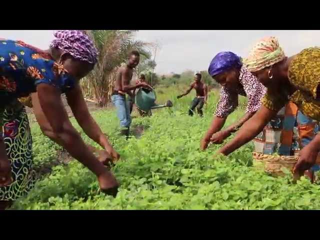 SPOT - Le Foncier au Bénin 2
