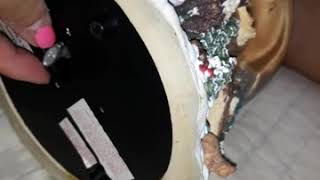 Christmas music snow globe.   &quot;Have yourself a Merry little Christmas&quot;