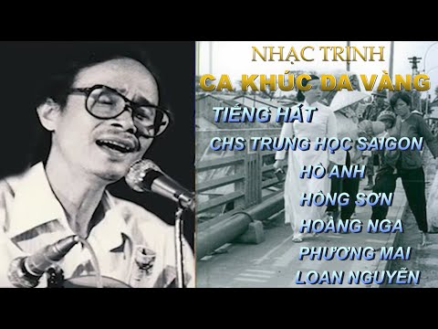 NHẠC TRỊNH - CA KHÚC DA VÀNG ( TIẾNG HÁT CHS TH SAIGON)