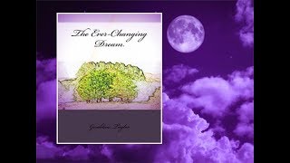 Geraldine Taylor - The Ever-Changing Dream