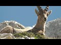 Dolomites | Col Bechei and Fanes Grande Alp