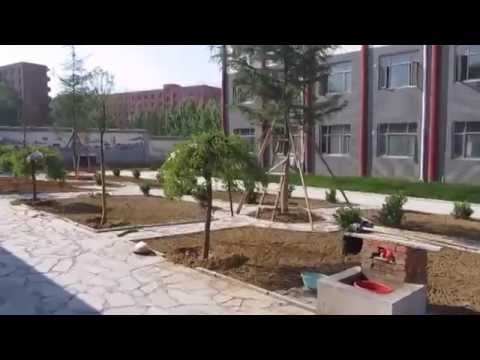 A tour of Qufu Shaolin Kungfu School, China