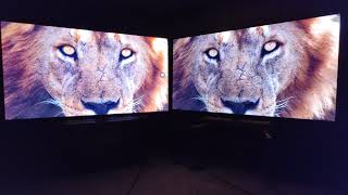 LG The Wild Demo - LG C1 vs. Sony A80J (A80CJ) OLED TVs