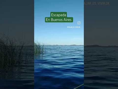 🏕️ CAMPING BAHÍA DE LOS LOBOS|ESCAPADA A 100 KM DE CABA