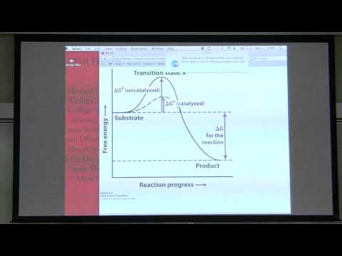 Kevin Ahern's BB 450/550 Classroom Lecture #1 for June 27 - Enzymes I