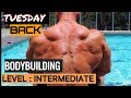 The PERFECT Back Workout ( Sets and Reps Included )