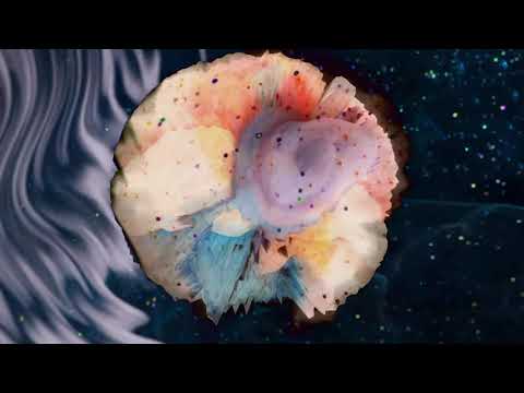 Hangora - Pyralidae (BRYZ Remix) (MLF001)