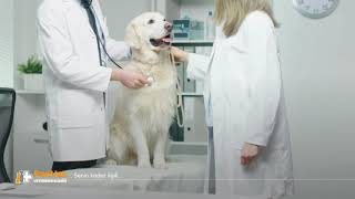 PanVet Gaziantep Veteriner Kliniği