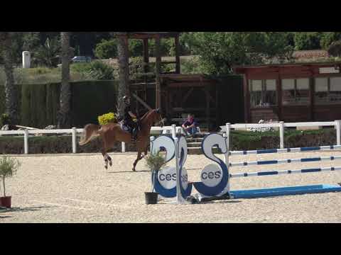 Isco- CES II 26/03/19