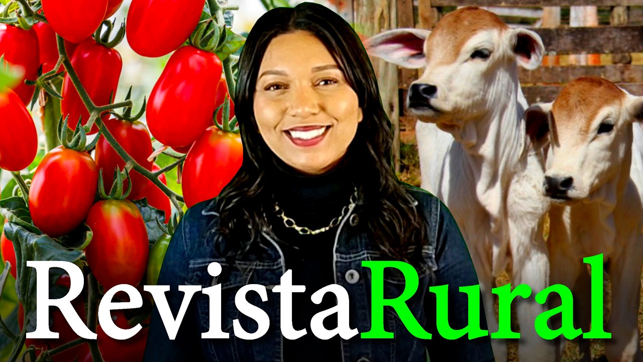 PROGRAMA REVISTA RURAL - 28/06/2026