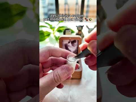 Finding yours in the link below #gift #pet #dog #dogloss #dogshorts #doglife #dogvideos #doglove