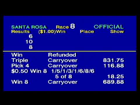 Arima Race Club - Live Stream