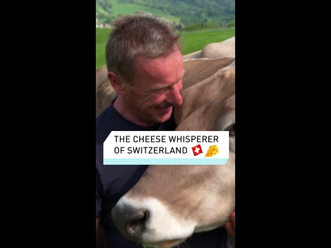 , title : 'Best cheese in the world?'