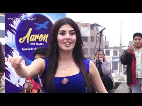 LOS SHAPIS - FIESTA KARIBEÑA - 4K ULTRA HD