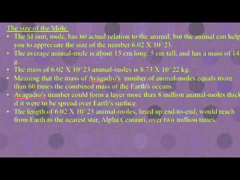 The Mole Wiki