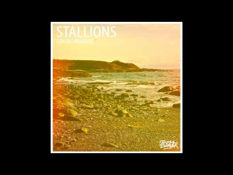 Stallions - Coastal Paradise