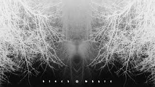 ZOMBIEZ (BLΔCK x WHYTE) - KAL† (PROD. BY KVSV)