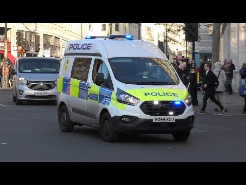Metropolitan Police newer Ford Transit, Peugeot 308SW and DPG ARV responding