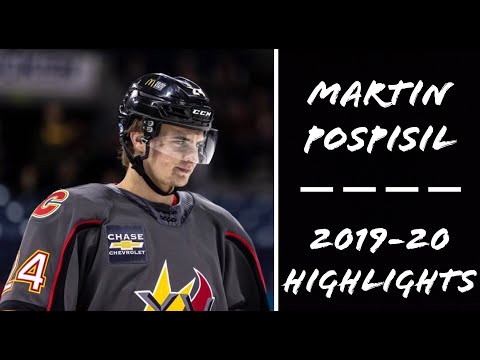 Martin Pospisil (#24) | 2019-20 | AHL Highlights