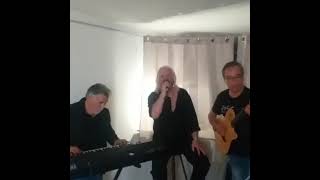 Annamaria  F Califano