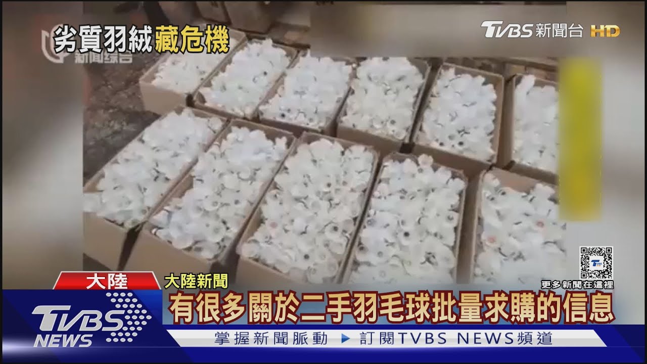 劣質羽絨服製程曝光! 回收羽毛球也能打碎填充 毛梗粉塵恐致過敏