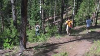 preview picture of video 'Beaver Ranch at Conifer Community Park Disc Golf Course'
