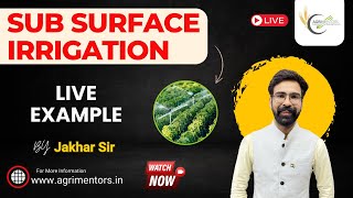 Sub Surface Irrigation | Irrigation System in IARI-ICAR | Irrigation Method #Agriculture #Irrigation