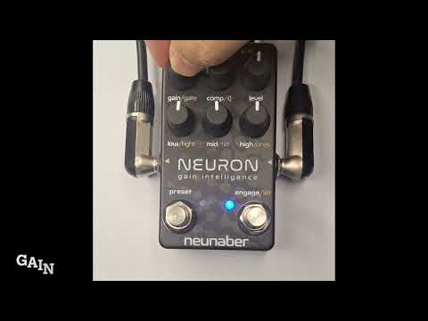 Neunaber Audio Neuron Gain Intelligence 2019 - Black image 4