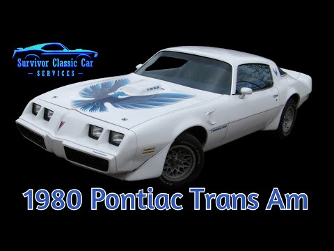 1980 Pontiac Firebird Trans Am (CC-1939159) for sale in Palmetto, Florida