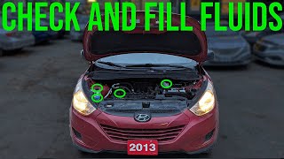 How to Check and Fill Fluids [COMPLETE GUIDE] - Hyundai Tucson (2010-2015)