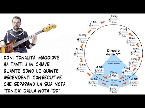 Lezioni di Basso 2 : Scala Cromatica, Scala Diatonica e Circolo delle Quinte