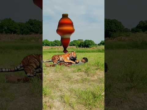 शक्तिमान ने लड़के को बचा लिया || Shaktimaan saved the boy🐅🤘💕 #shorts #trending #shaktiman