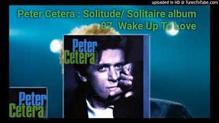 PETER CETERA - wake up to love (juanksignos)