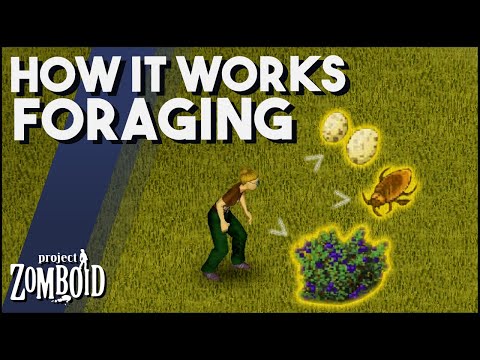 Project Zomboid - How Does Foraging Work? Project Zomboid Foraging Feature Guide & Tips!