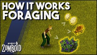 Project Zomboid - How Does Foraging Work? Project Zomboid Foraging Feature Guide & Tips!