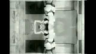 TRANSFENSCH - String Di Cazz