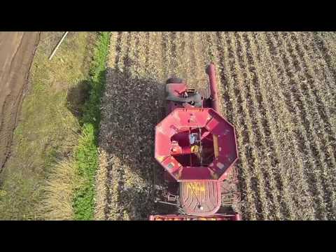 Corn Harvest 2016