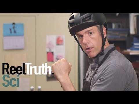 Going Deep with David Rees - How to Get Punched | How To Show | Reel Truth. Science