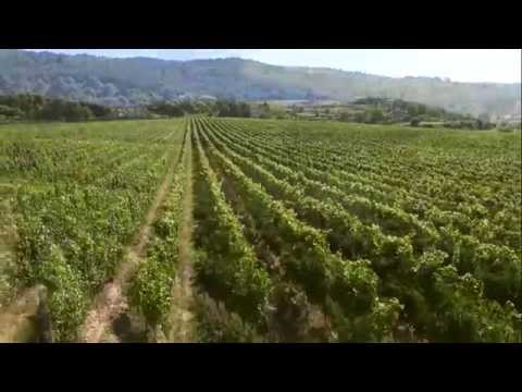 Il Castello di Pomino -  Frescobaldi