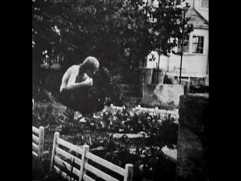Jandek - You Painted Your Teeth