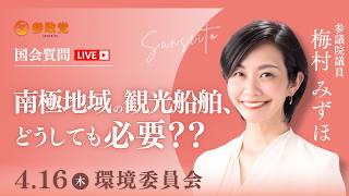 【国会中継】「南極地域の観光船舶、どうしても必要？？」参議院議員 梅村みずほ  国会質疑 令和8年4月16日 参政党