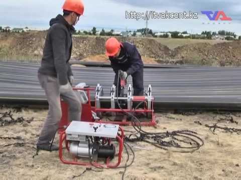 «Официальная хроника» от 15 августа 2016 г.