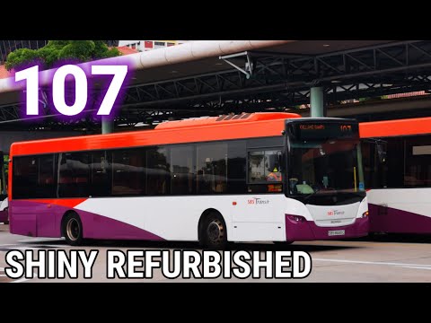 [SHINY REFURBISHED] SBST SBS8666C on Service 107 - Refurbished Scania K230UB Euro 5 Gemilang